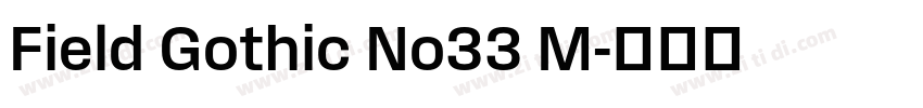 Field Gothic No33 M字体转换